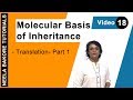 Molecular Basis of Inheritance | NEET | Translation - Part 1 | Neela Bakore Tutorials