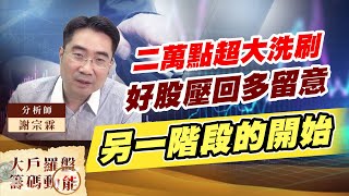 二萬點超大洗刷 好股壓回多留意 另一階段的開始 (圖)
