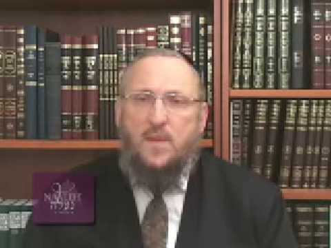 Perek 6 part 2: Tachanun