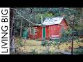 She Turned This Abandoned Hut Into A Dream Woodland Cabin