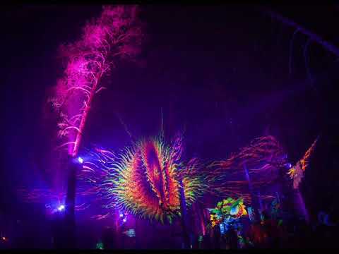 Sinerider & Ital & Neuroplasm - What is Real (The Big Bang remix)