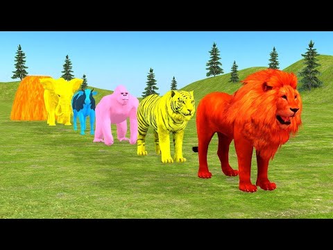 Long Slide game 7 Elephant Gorilla Buffalo Hippopotamus Tiger 3d Animal Game Funny 3d Animals