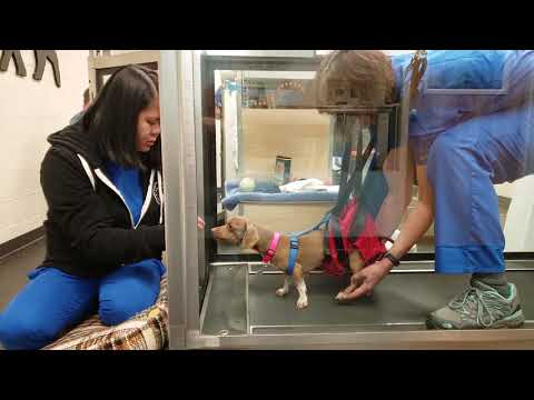 Anna Grace PT 4-19-19