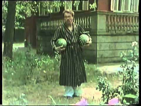 Zikina Dinastija-Kucna pomocnica