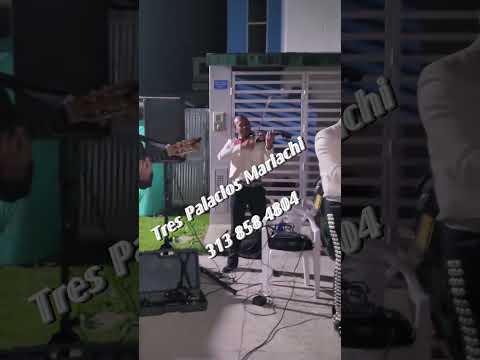 mariachis en cúcuta norte de Santander