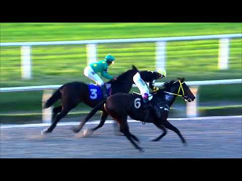 220527 c03 PLAYER ONE