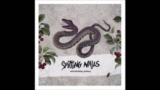 spitting nails // underwhelming goodness  LP full length