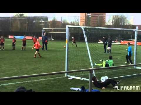 Arnhemia F1 Onze Keeper DQ1