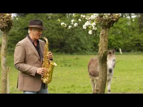 download lagu mp3 mp4 Henk Bernhardt, download lagu Henk Bernhardt gratis, unduh video klip Henk Bernhardt