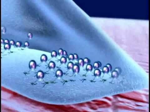 Botulinum toxin for Medical usage - Mechanism of Action
