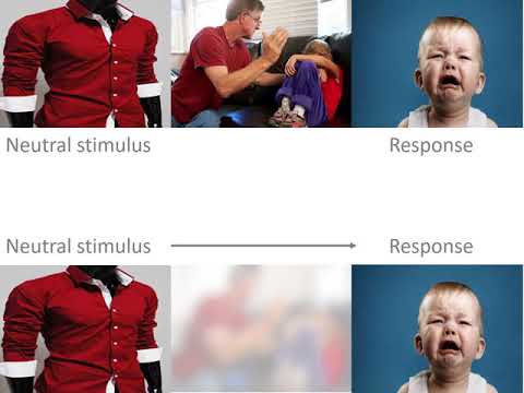 Classical versus operant conditioning