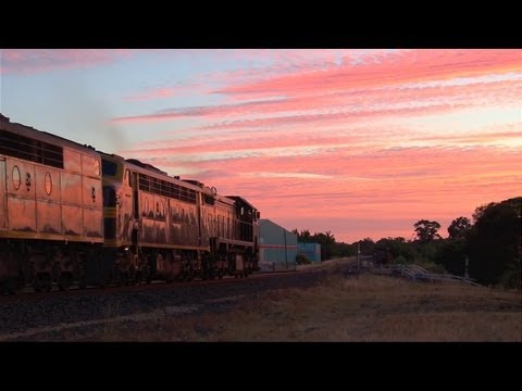 Australian Trains : EMD's at Sunset