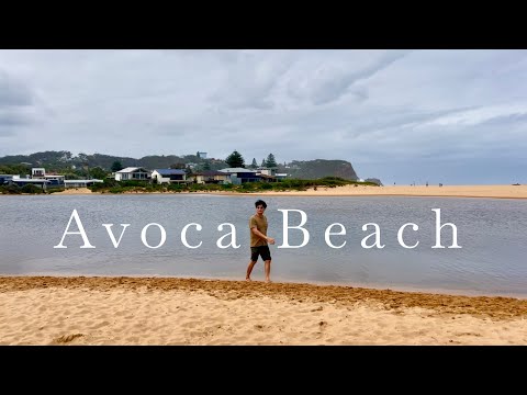 Avoca Nsw Map