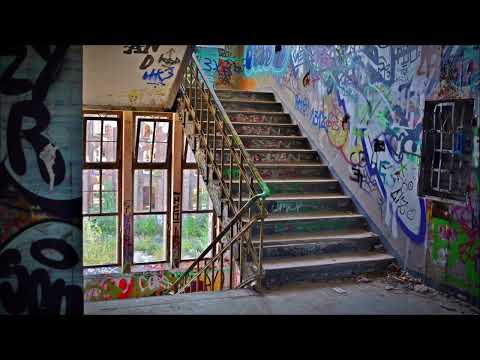 Nizzla - Immer Noch (Netzwerke 1 - 2008)