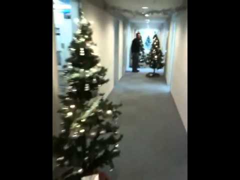 政治経済学科 聖学院大学 欧米文化学科AHクリスマスデコレーションvol.3