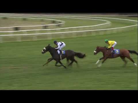 Premio Pisa - Listenrennen