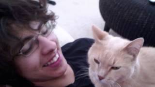 The Suds--GRAPES ALLA VODKA (prod. rl grime)