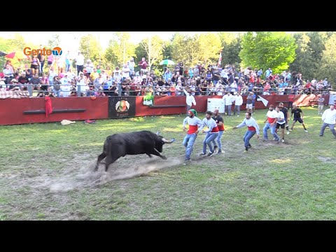 Picnic e Festa Brava de GenteTV com os Forcados e Musica - Sept.23_23 - #4