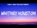 Whitney Houston ft. Enrique Iglesias - Could I have this kiss forever (Lyrics)