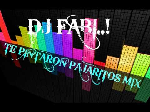 te pintaron pajaritos mix