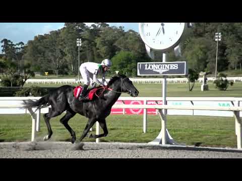 221105 c07 MESTRE DI OURO