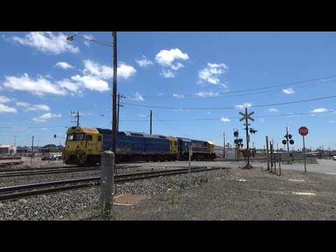 Pacific National BL34, XR555 Light Engine Movement At North Geelong & Crossing Malfunction