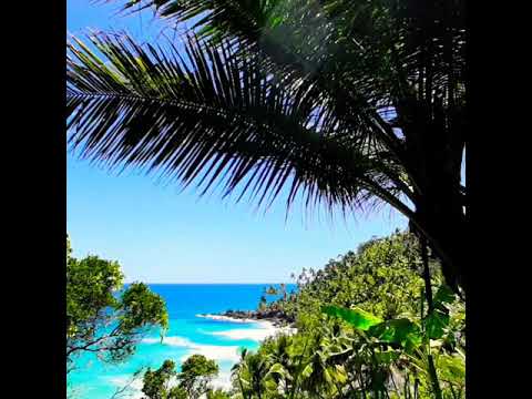 Jeribucaçu Catende Arruda Segredo