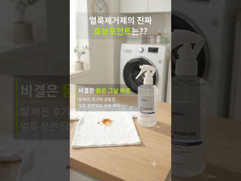 라비킷 마이리무버100 얼룩제거제, 300ml