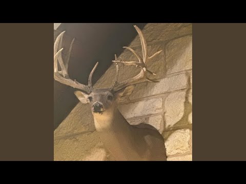 The Game Warden Song - Don Wade