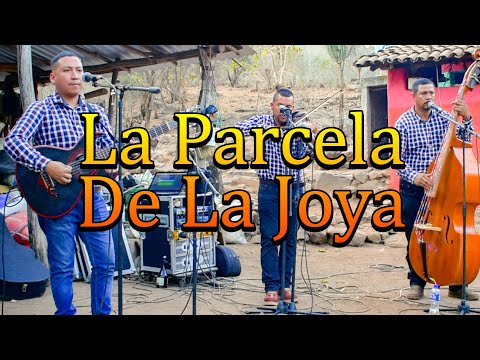 La Parcela De La Joya - Los Potrillos De Turicato