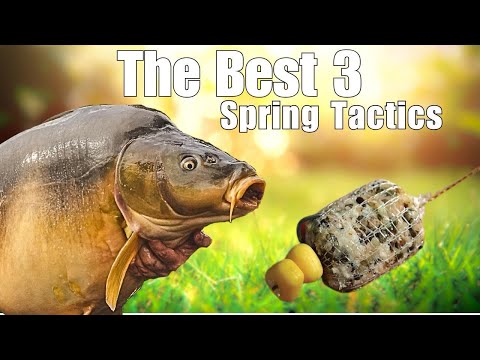 CARP FISHING - THE BEST SPRING TACTICS TO CATCH CARP