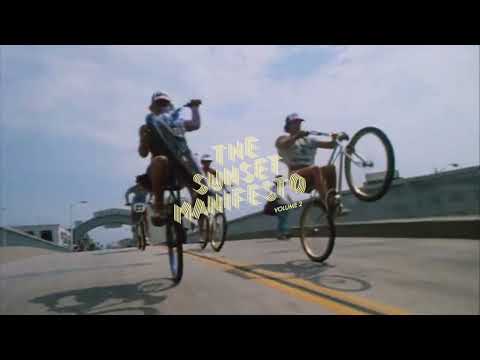 YOUNG GUN SILVER FOX - Curious