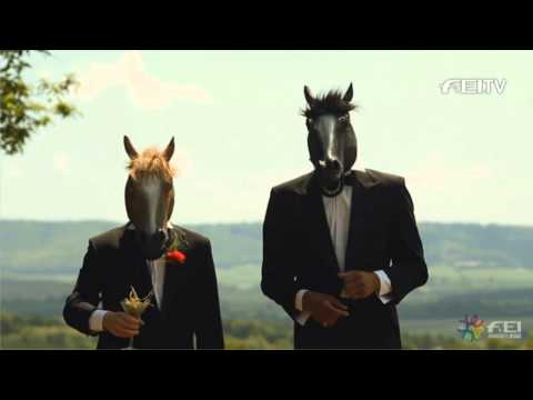 Horses in black tie discuss FEI Awards