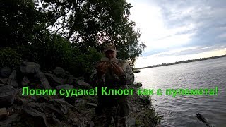 Ссылка