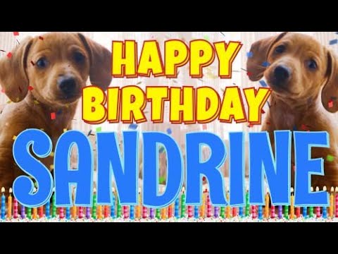 Happy Birthday Sandrine! ( Funny Talking Dogs ) What Is Free On My Birthday