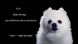 The real reason Gabe died. (RIP Gabe the Babe..)