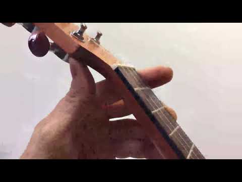 Neewer 23 pouces Ukulélé en Acajou avec Housse