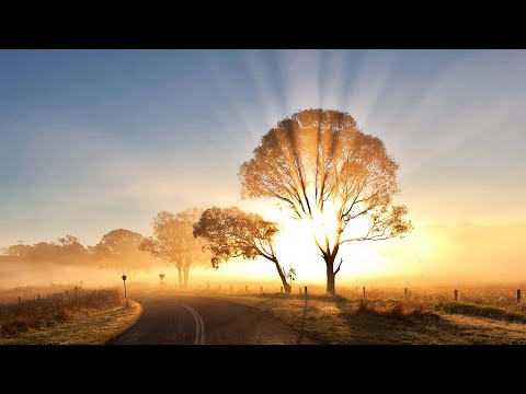 Chella - My Darling (DJ Saša Filipović Remix)