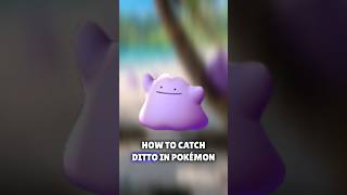 How to Catch DITTO in September 2023!