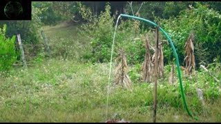 Download lagu da dej nawb mp3 Download lagu da dej nawb mp3