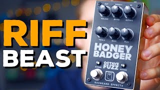 Video thumbnail for THIS PEDAL MAKES YOUR RIFFS BADASS! RedBeard Effects Honey Badger (Demo) by Jackson Brooksby
