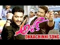 Okkachinni Song - Jr  NTR Songs - Ashok Movie Video Songs - Jr  NTR, Sameera Reddy