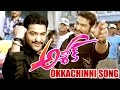 Okkachinni Song Jr NTR Songs Ashok Movie Video Songs Jr NTR Sameera Reddy