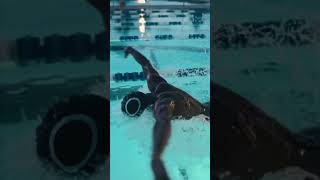 Coach DK swimming Highlight 