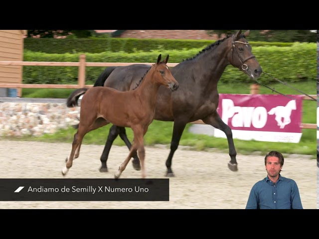 Pretty Woman v/d Kalevallei