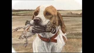 The Pointer – Pet Dog Documentary English