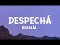 ROSALÍA - DESPECHÁ (Letra/Lyrics) ROSALÍA - DESPECHÁ (Letra/Lyrics)