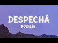 ROSALÍA - DESPECHÁ (Letra/Lyrics)