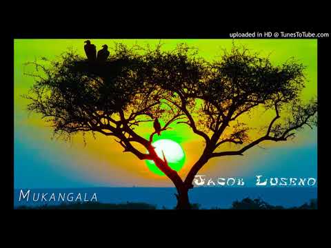 Jacob Luseno – Mukangala (Official Luhya Music)
