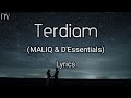 MALIQ & D'Essentials - Terdiam | NV Copyright Free Music | Lyrics